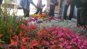 60390676_2220776758000378_6116295907840360448_n