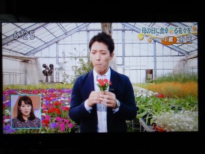 60409482_2469909446376473_6490691149085278208_n