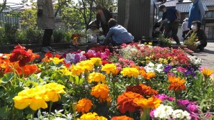 60445492_2220776704667050_7227415986108891136_n