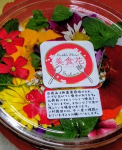 60459412_476886599719534_6081681361947590656_n