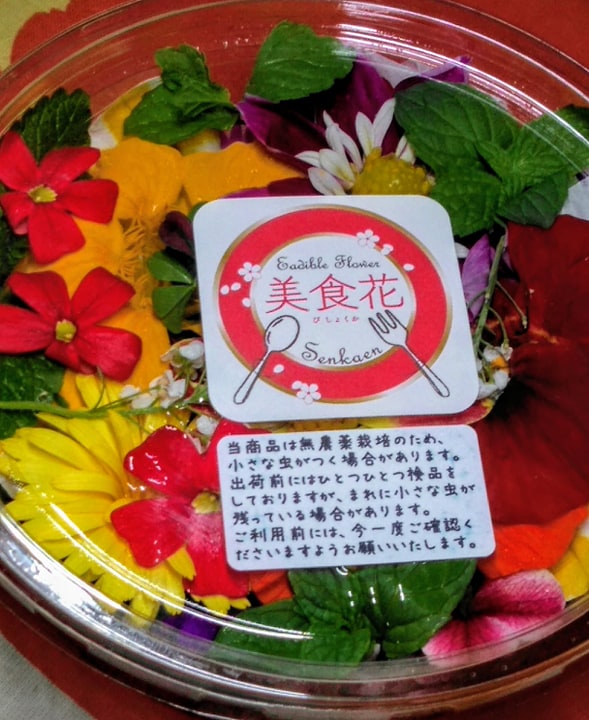 トロピカルでご要望