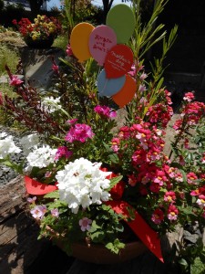 60675965_563676140787853_1295397389565165568_n