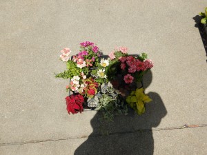 60952796_1212021602310928_1369460797754834944_n