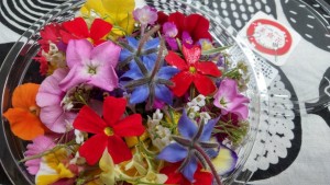 60962773_1322664984567679_345858254464614400_n