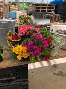 61000913_619211451823597_3056137146868957184_n