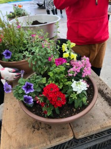 61006945_2122034721198712_8971373313322385408_n