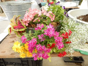 61034255_458562701385754_3095613475481714688_n