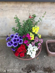 61063063_393520854843442_6470085884568928256_n