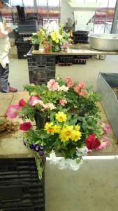 61068364_2468021549929221_3025514455250239488_n