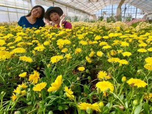 61076955_2235723363172384_5216404790795304960_n