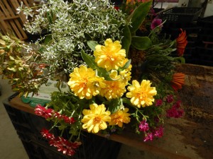 61203229_2386786308265124_9031727658349625344_n