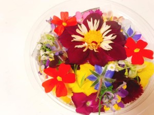 61217293_2283806831738067_1081235893391458304_n