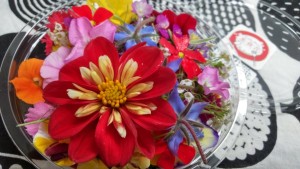 61263674_2187536547966917_3458178186360127488_n