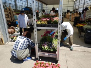 61265657_345332976185828_1796138551339909120_n