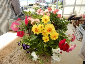 61437149_605093726644707_6705502929077403648_n