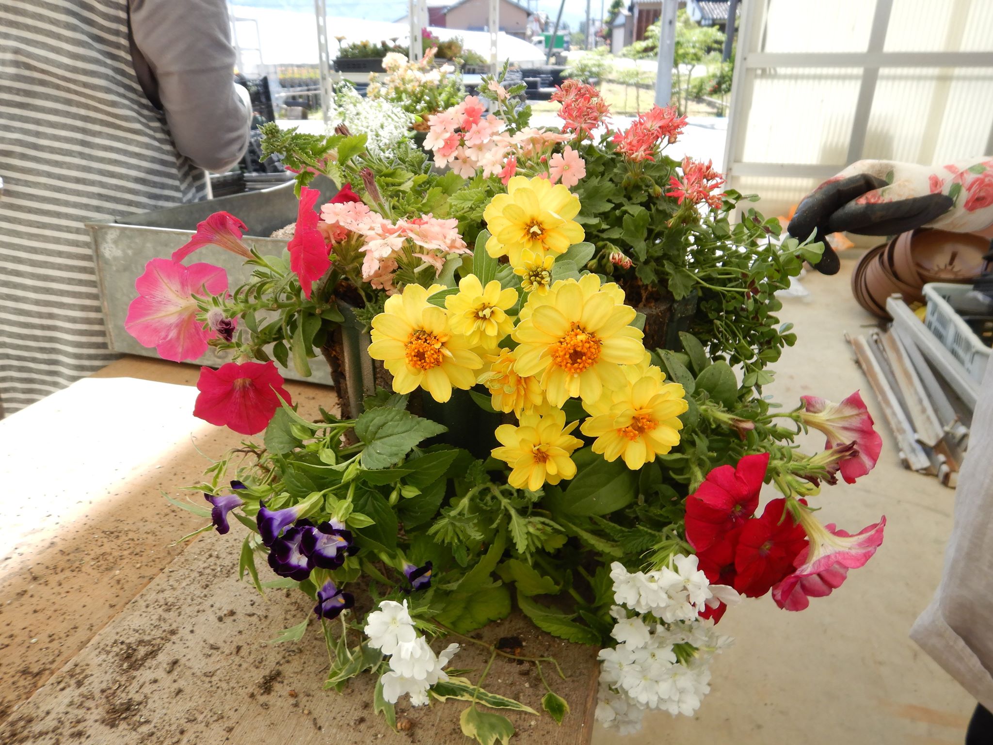 JOY☆ガーデニング隊５月教室