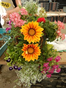 61548176_296706057936430_4909212142621687808_n