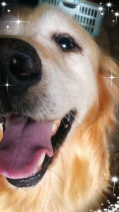 61730878_2243469522397768_4454463182869626880_n