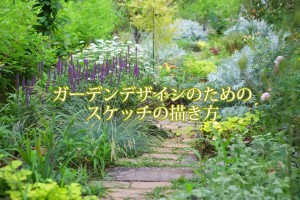 58113495_2381087055234609_3939920220998598656_o