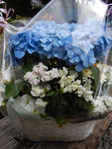 60358646_2460212444023264_5586241933572833280_n