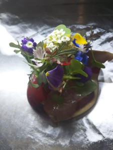 61384353_2093943750734470_664589293624229888_n