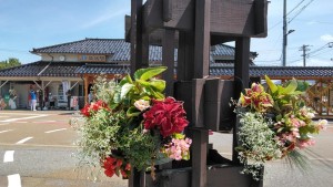 61411041_2248529955225058_703262257194205184_n