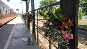 61682866_2248530538558333_5313644727277453312_n