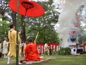 61682873_2250374618373925_2839448826945732608_o