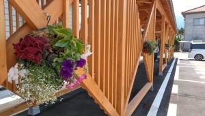 61720030_2248530098558377_6536759603957334016_n