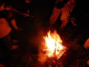 61776339_341116823232968_7776004951871848448_n