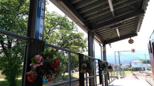 61851973_2248530591891661_8515573276288745472_n