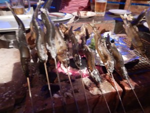 61862460_1119074424946835_1695557134596440064_n