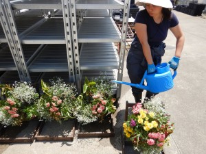 61913988_424513035051181_1486279011943317504_n