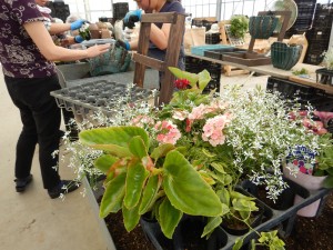 62028439_314344012849558_1443479594119200768_n