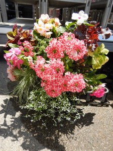 62030333_1263100930534249_8998765884591833088_n