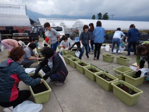 62087028_587826118410617_8445992675789766656_n