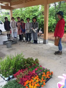 62191211_2261396677271719_7598005589976809472_n