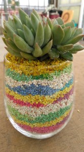 62213145_2276253005804305_2651284909548634112_n