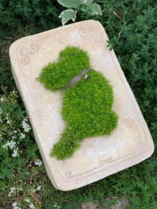 62250439_2467129563297024_6359040054886662144_n