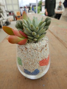 62357603_2045412099099535_8949816120844484608_n