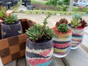 62440342_2373301842754232_1041117136455467008_n