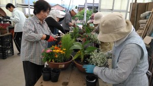 62464768_2271792086232178_3042342867260407808_n