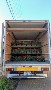 62506701_2269157006495686_100742100059947008_n