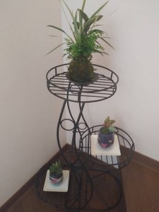 63524967_1598017430330978_3737330629440700416_n