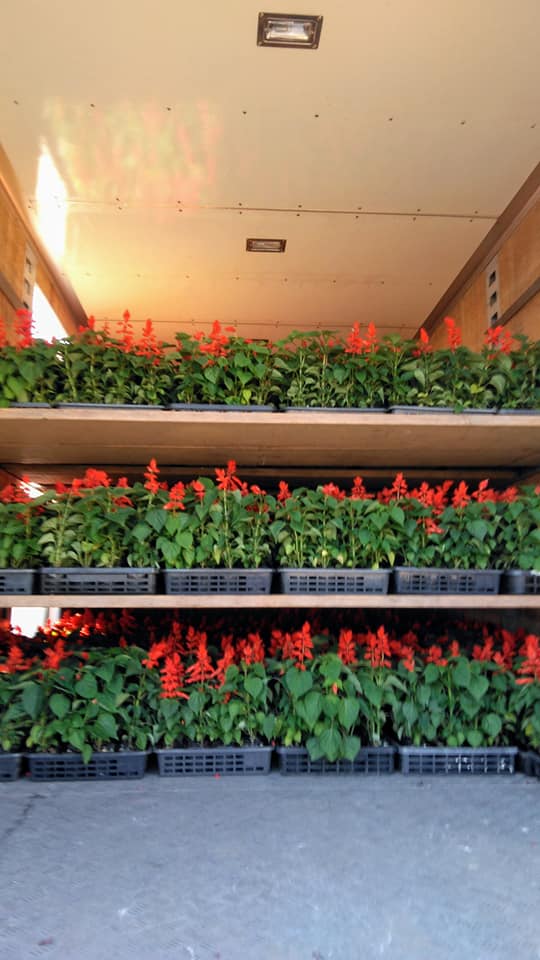 今年も赤一色でおもてなし♪