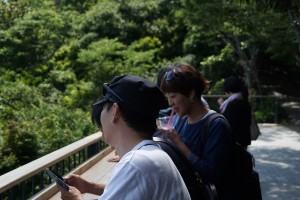 64373725_596171380872905_1326087563710038016_n