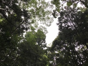 64440977_895499980795508_7950672252368846848_n