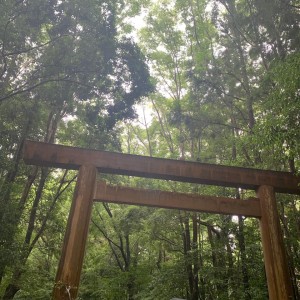 64499526_2273849856026401_3786556074253877248_n