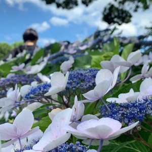 64539027_2276082199136500_319990821787009024_n