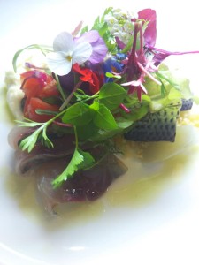 64592959_2134113486717496_5411761816340529152_n